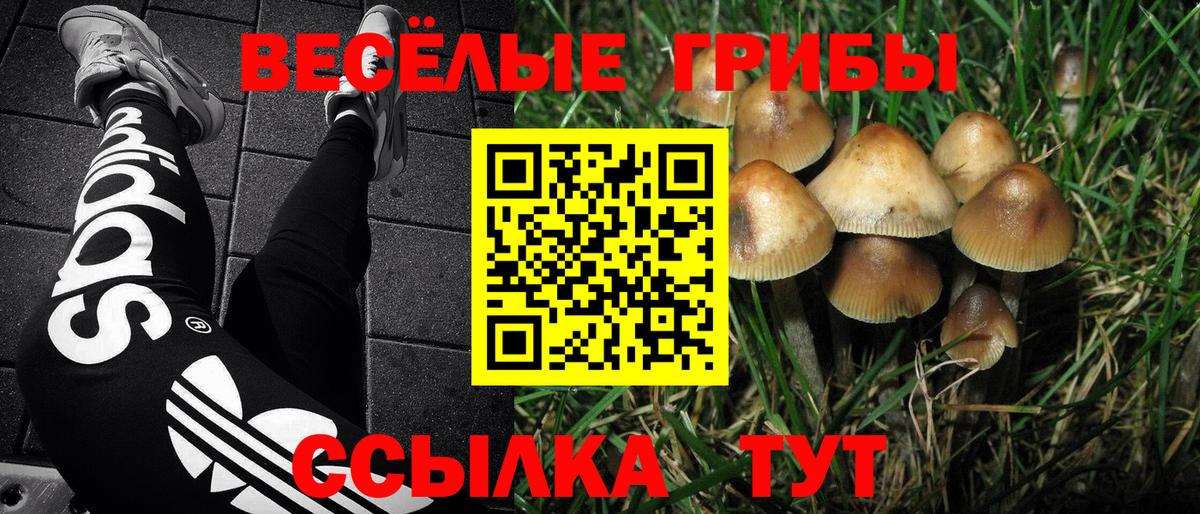 Апрелевка  Галлюциногенные грибы ЛСД  Псилоцибиновые грибы Psilocybe  Вход с VPN 