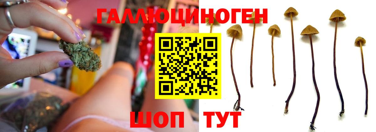 Псилоцибиновые грибы ЛСД Апрелевка